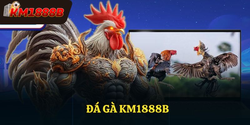 Đấu Trường Đá Gà KM1888B - Không Gian Giải Trí Kịch Tính