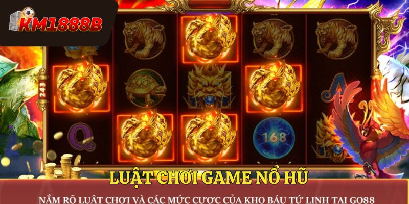 Một số đặc điểm và luật chơi
