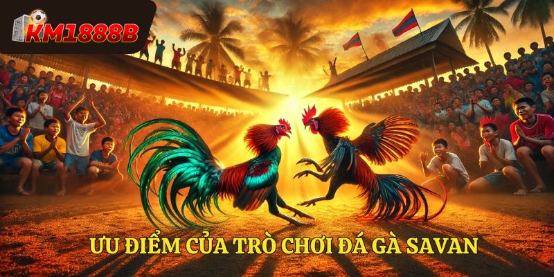 Ưu điểm của trò chơi đá gà savan