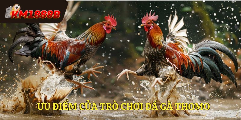 Ưu điểm nổi bật của trò chơi đá gà thomo